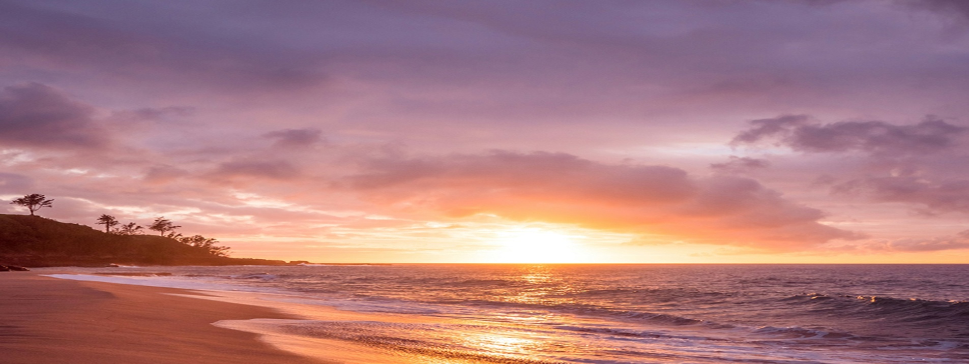 Meditate in morning light cover